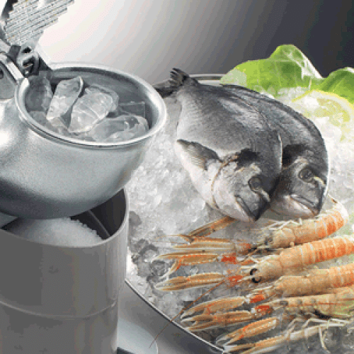 Льдокрошитель SIRMAN TRITON