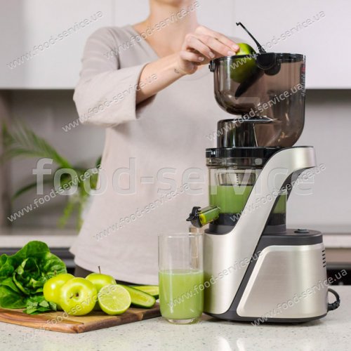 Шнекова соковижималка BioChef Quantum Whole Slow Juicer Silver