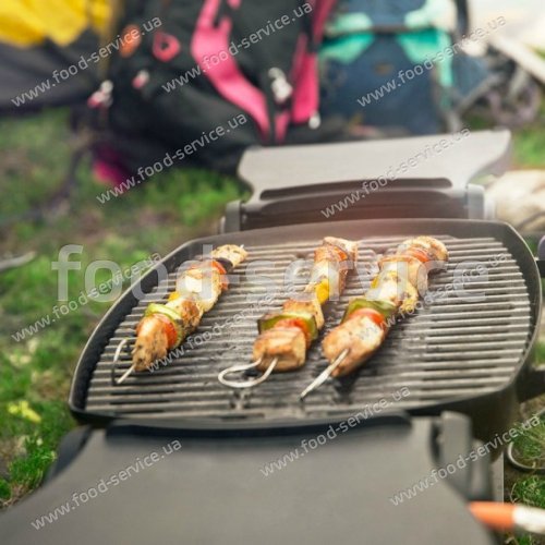 Газовий гриль барбекю переносний Weber Q-1200 black