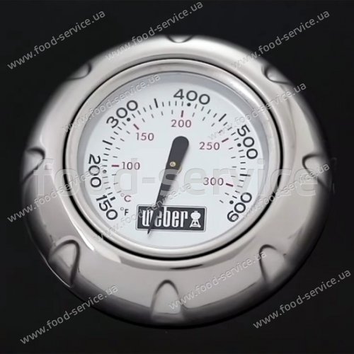 Газовый гриль барбекю Weber Spirit E-210 Classic