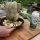 Тримач курки VCR для гриля Big Green Egg Medium. Фото 1