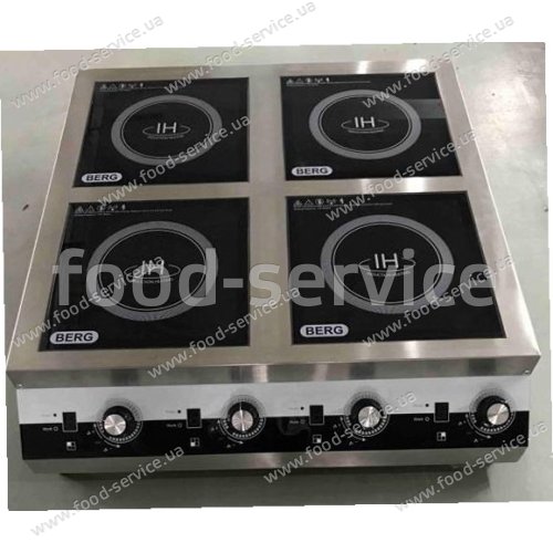 Індукційна плита Berg IG-4S29