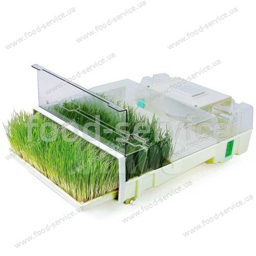 Пророщувач зерна і насіння електричний EasyGreen Sprouter