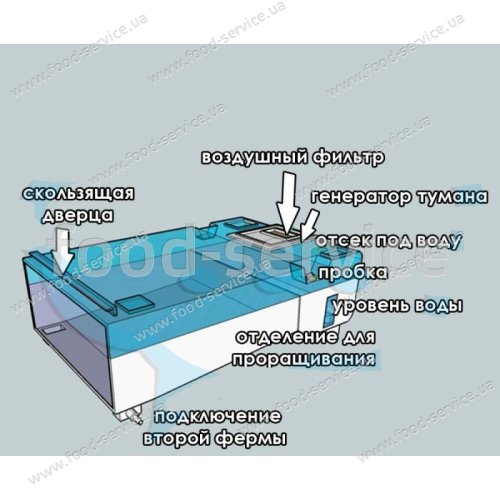 Пророщувач зерна і насіння електричний EasyGreen Sprouter