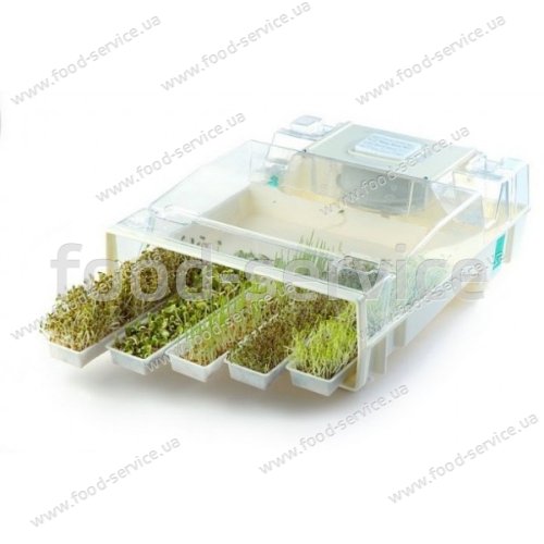 Пророщувач зерна і насіння електричний EasyGreen Sprouter