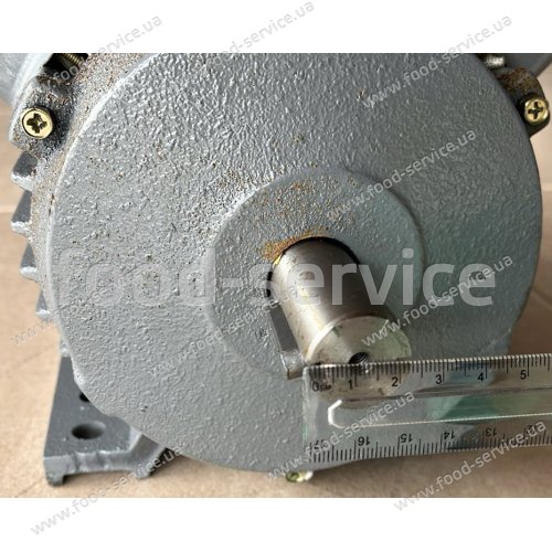 Двигун на кутер м'ясний FROSTY HLQ-20